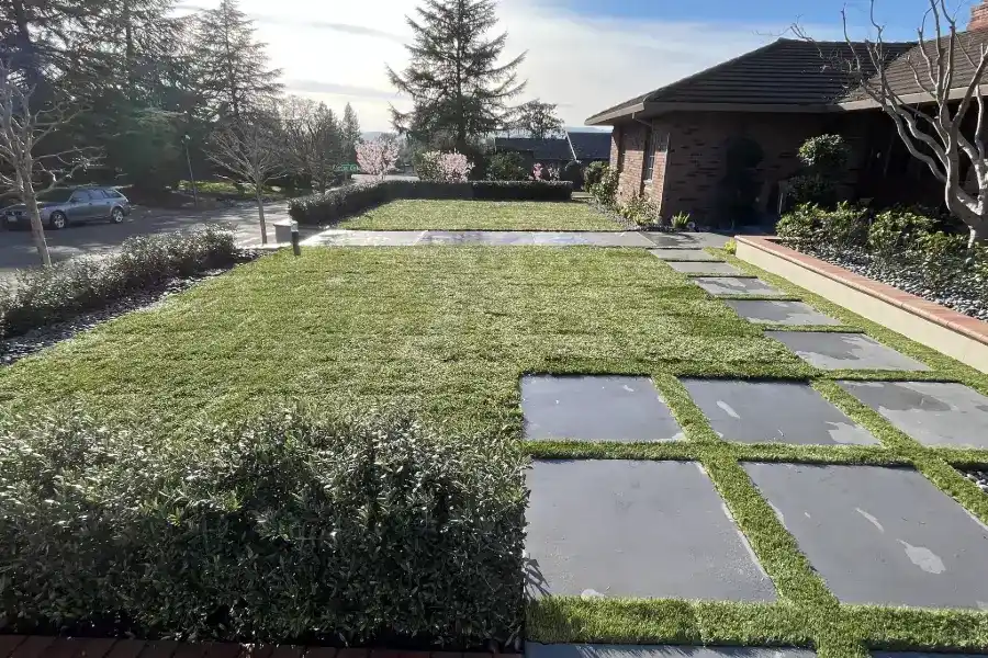 Professional Landscaping Services in San Rafael, CA Your Reliable Landscaper in San Rafael, CA