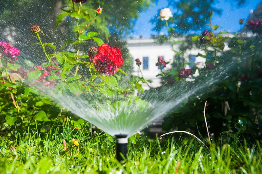 Common Mistakes To Avoid During Sprinkler Installation San Rafael, CA Common Mistakes To Avoid During Sprinkler Installation San Rafael, CA